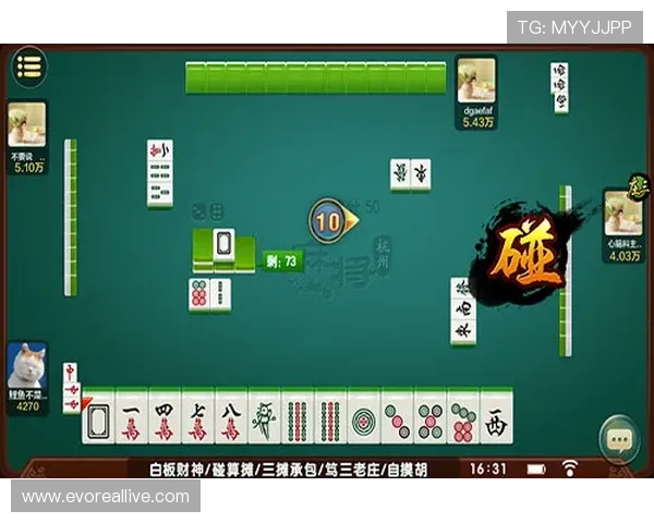 掌握百家家乐多样玩法技巧提升游戏体验与获胜概率的详细指南
